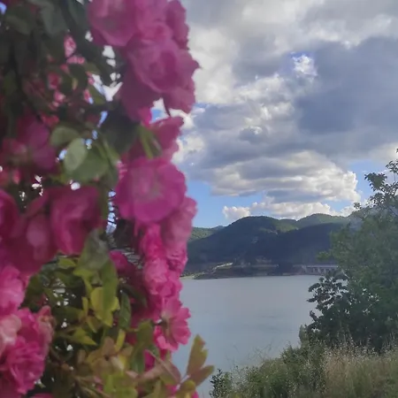 Abuela Carmen 펜션 *