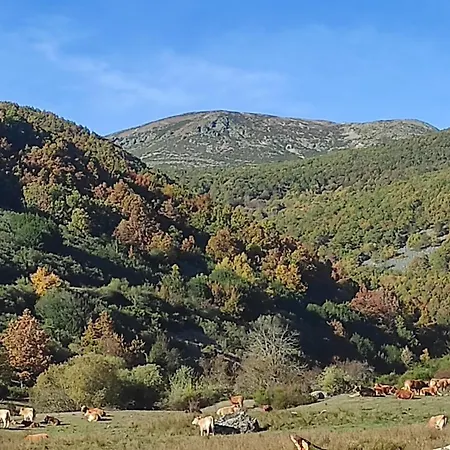 펜션 Abuela Carmen