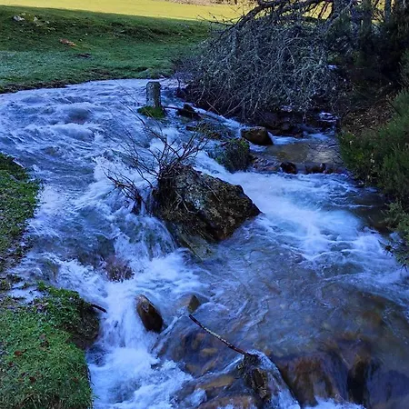 Abuela Carmen Riaño