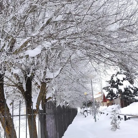 Abuela Carmen Riaño