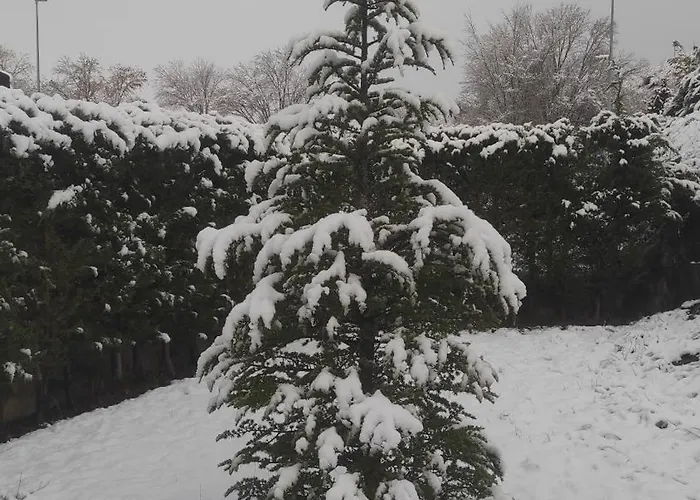 Abuela Carmen Riaño