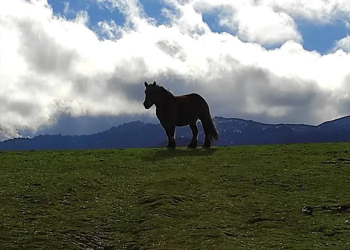 Abuela Carmen Feriehus