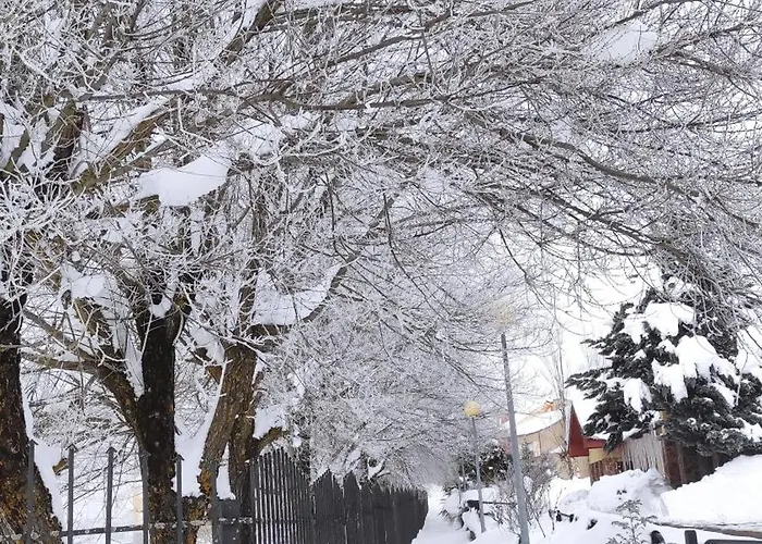 Abuela Carmen Riaño